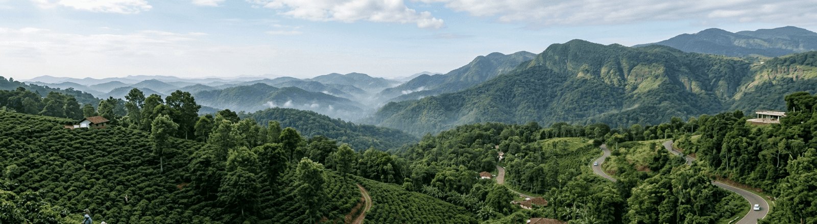 Coorg