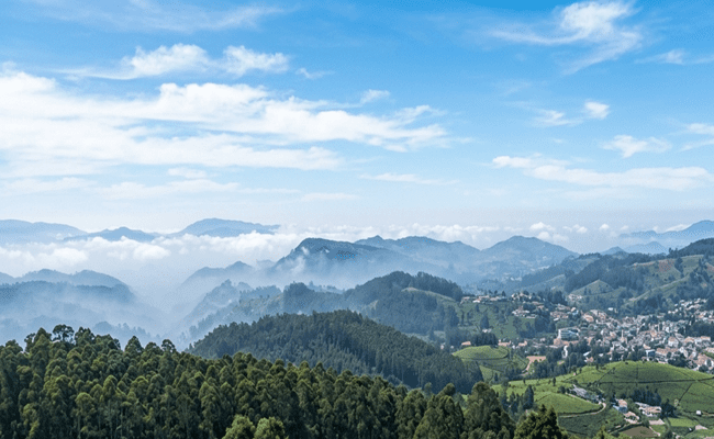 Places to Visit in Ooty​