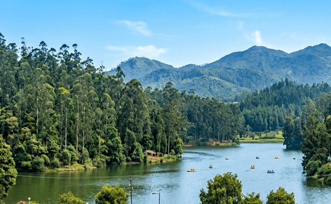 Places to Visit in Ooty​