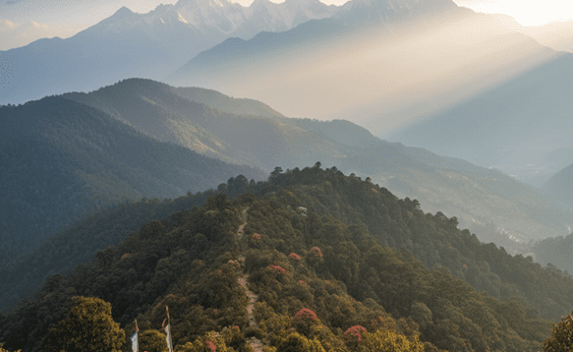 Places to Visit in darjeeling