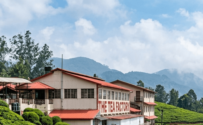 Places to Visit in Ooty​